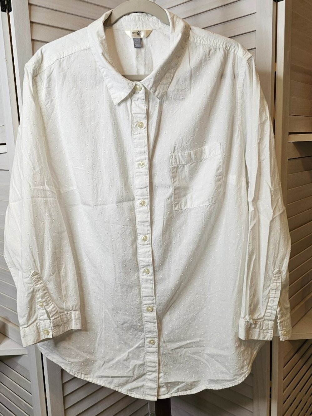 Terra & Sky Plus Size 2X (20W-22W), White Button Down Shirt, Textured